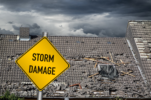 Best Storm-Damage Roofing Professionals In Portage County