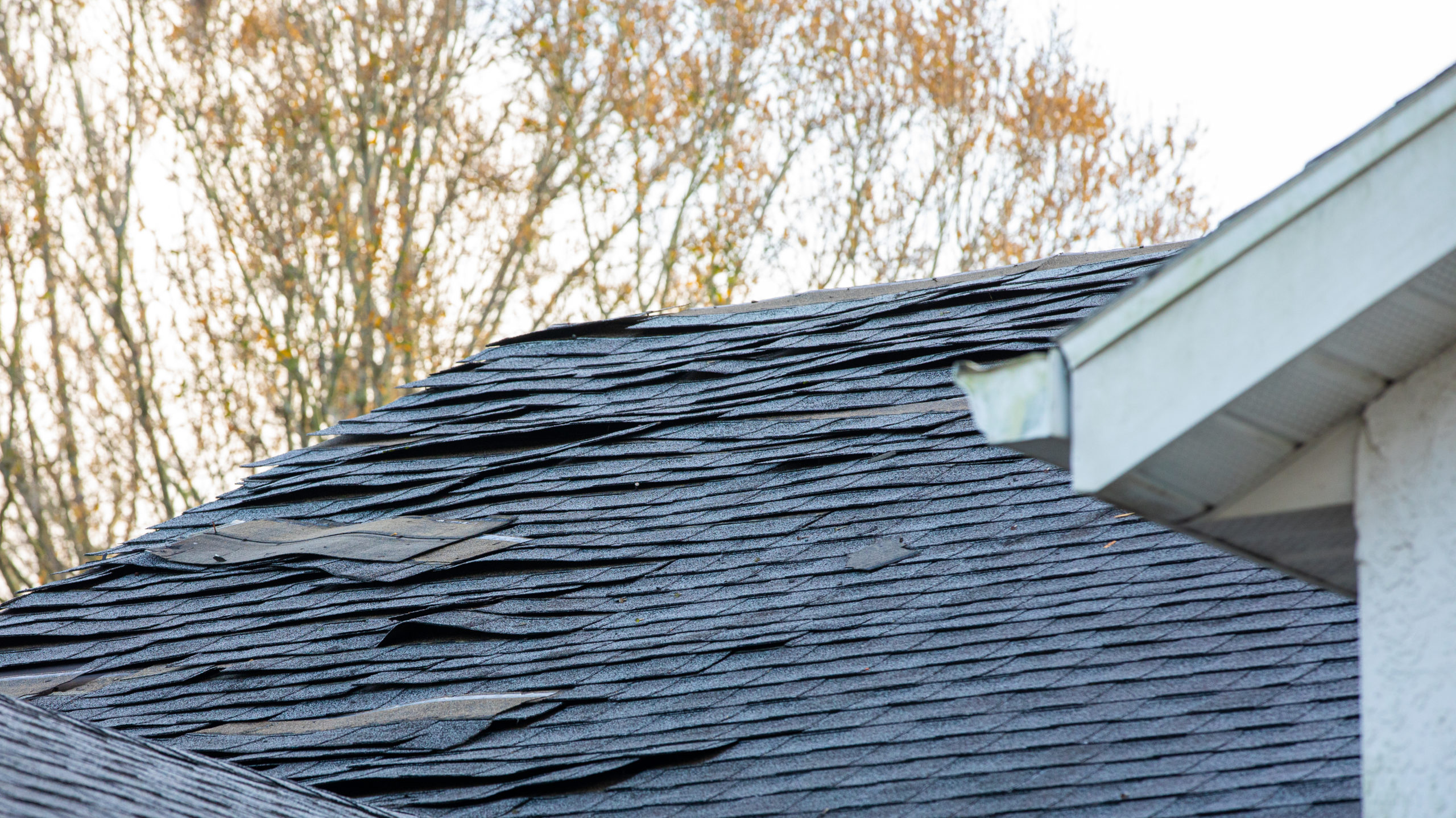 Five Common Roof Damage After a Storm